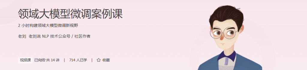 极客-领域大模型微调案例课